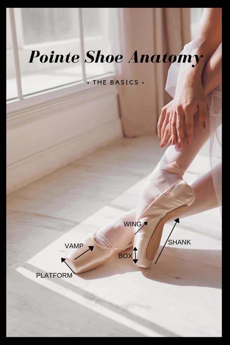 Pointe shoe hot sale fitting guide